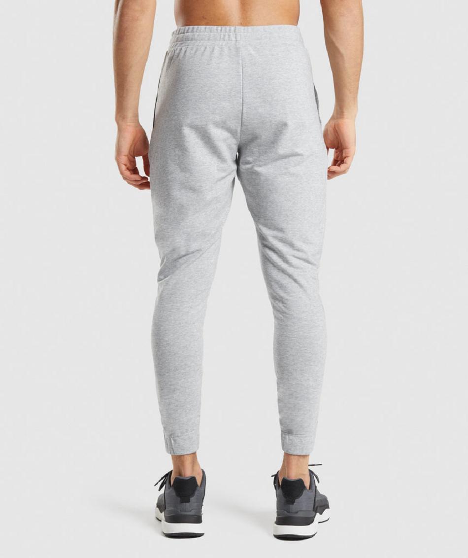 Gymshark Critical 2.0 Muške Jogger Hlače Svijetlo Sive | HR 2928FDN